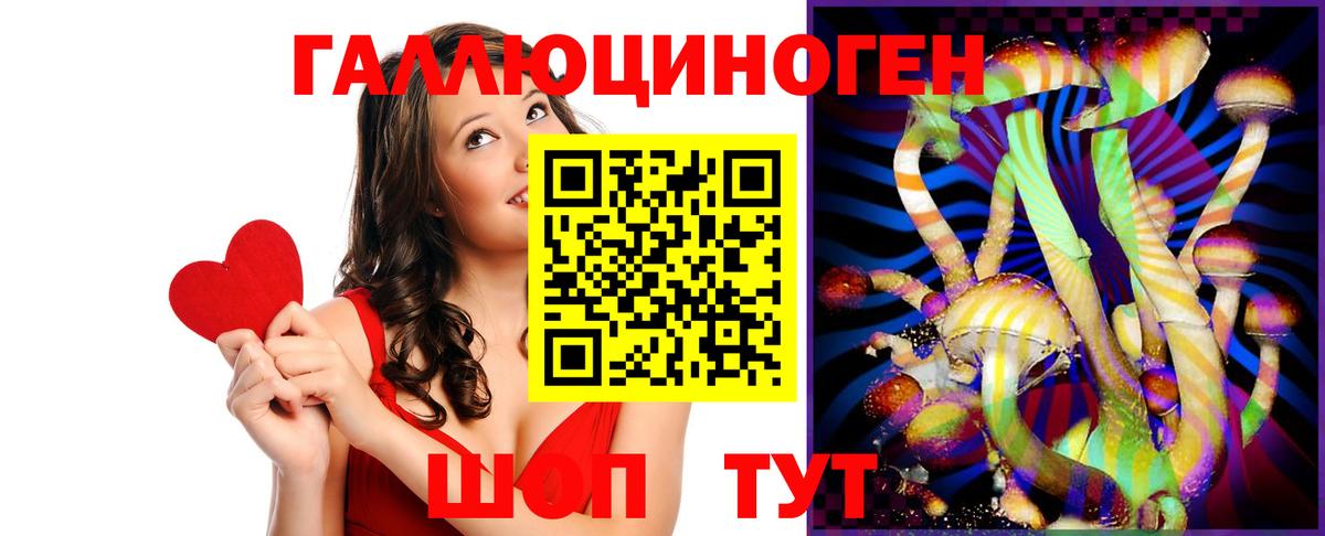 Псилоцибиновые грибы Cubensis Котовск