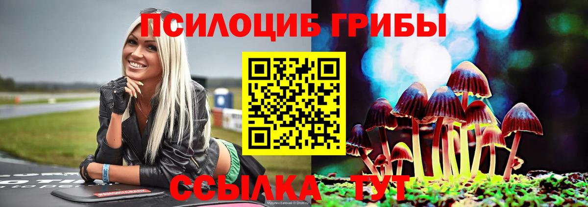 наркота  Вход с VPN  Галлюциногенные грибы Cubensis  Котовск  Псилоцибиновые грибы Magic Shrooms 